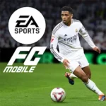 Fc Mobile 24